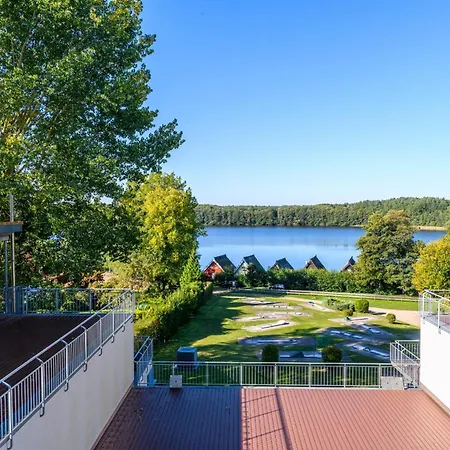 Eisvogel Classic 302